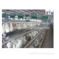 Automatic poultry equipment